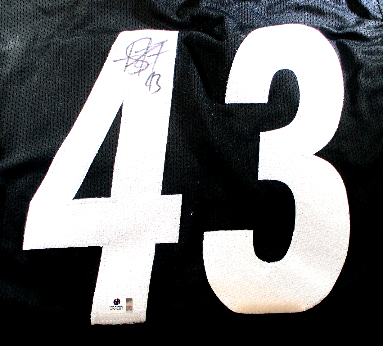 Troy Polamalu / Autographed Pittsburgh Steelers Custom Football Jersey / COA